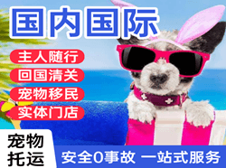 柳州白莲航空托运国际宠物托运 【国